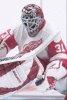 Curtis Joseph (From Red Wings 3 pack)