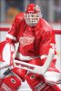 Dominik Hasek (Detroit Red Wings)