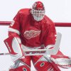 Dominik Hasek (Detroit Red Wings)