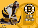 Steve Shields - Boston Bruins