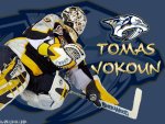 Tomas Vokoun - Nashville Predators